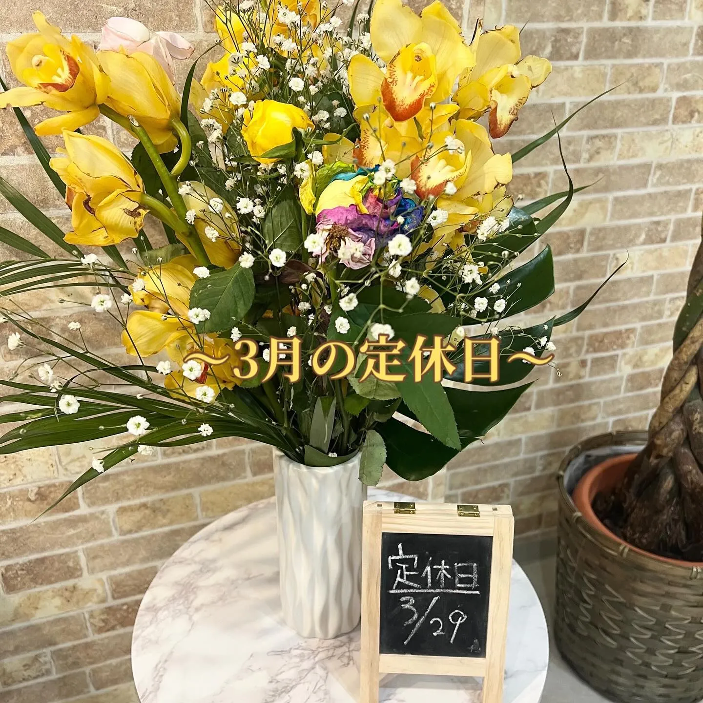 〜3月の定休日💐〜